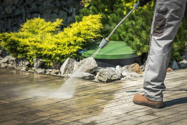 Best Sidewalk and Walkway Cleaning  in Rolling Hills Estates, CA